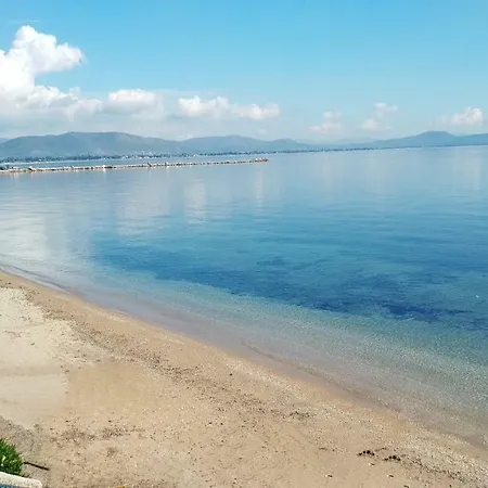 Nireus